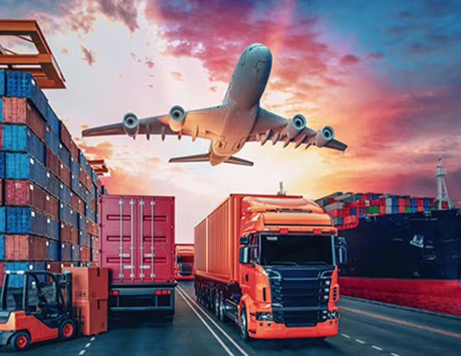 Customs Import and Export Formalities